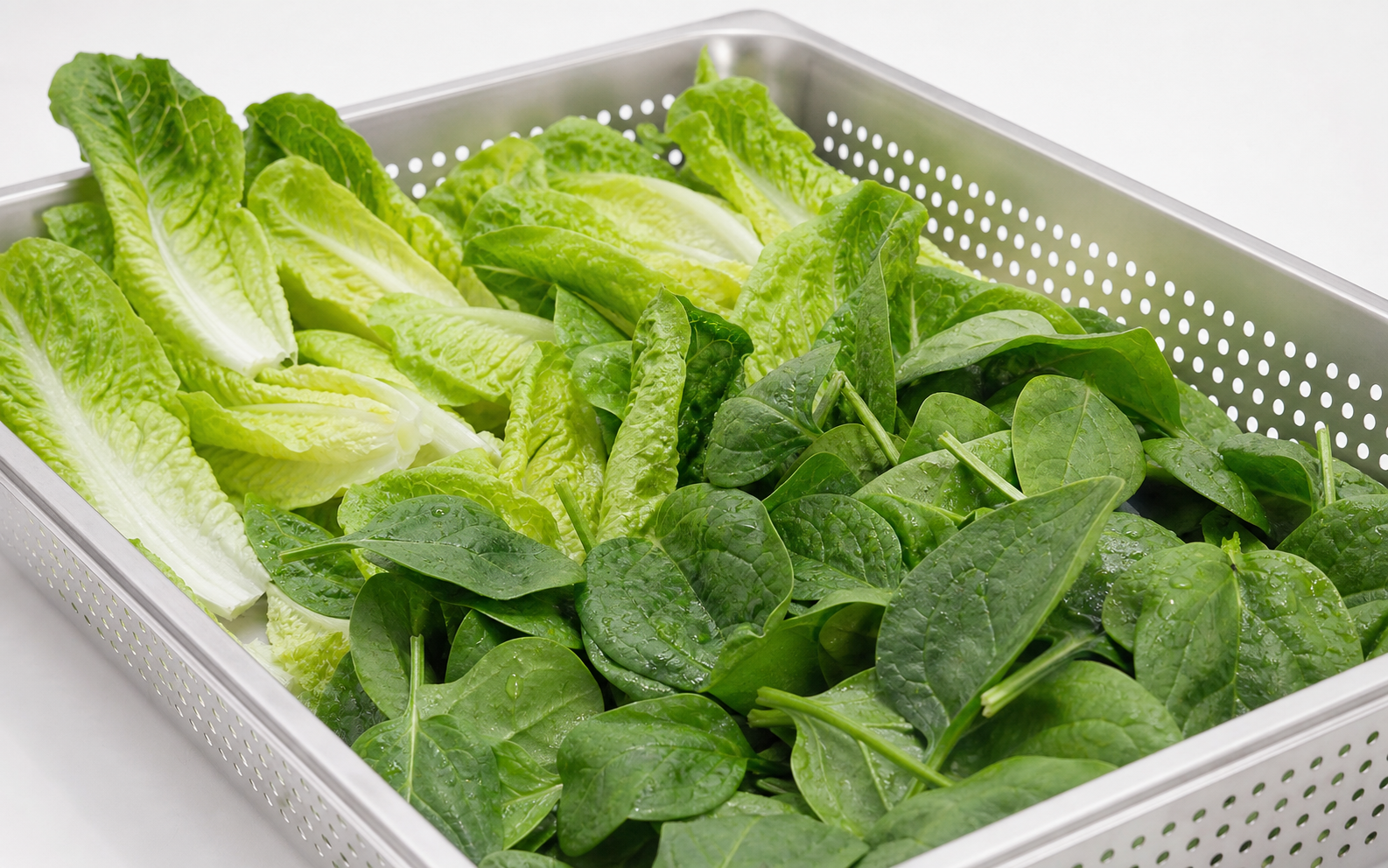Leafy vegetables prepared for washing