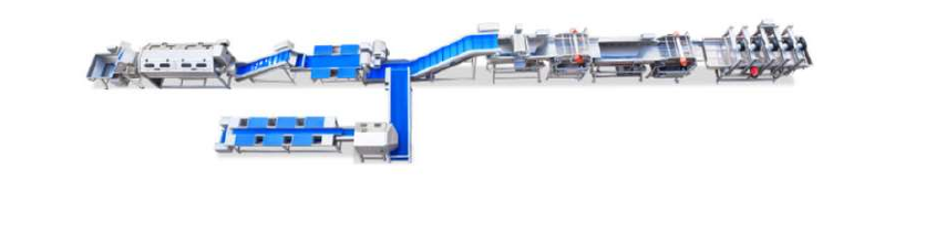 Leafy vegetable washing and processing line